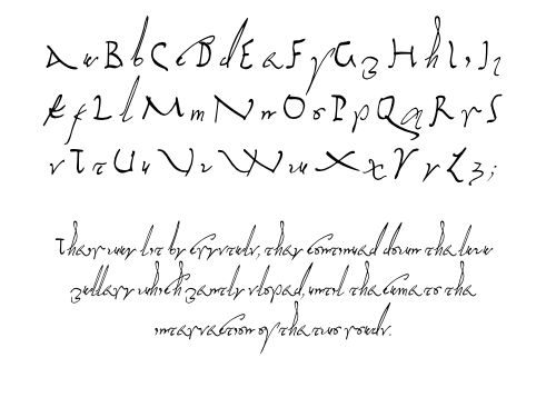 Display of the roman cursive
                typeface